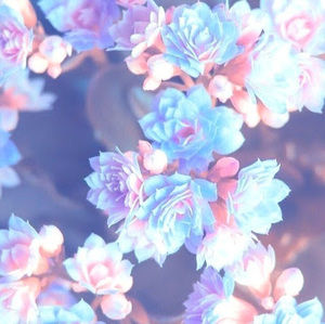 Meet your Posher, Salma